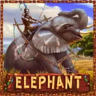 ELEPHANTPlayStar